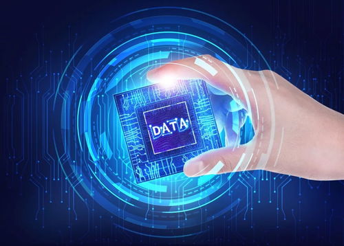 数据智能与人工智能 信息科技产业股权投资新洞察与咨询策略